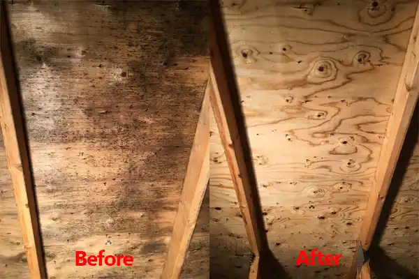 water damage restoration service Beachwood